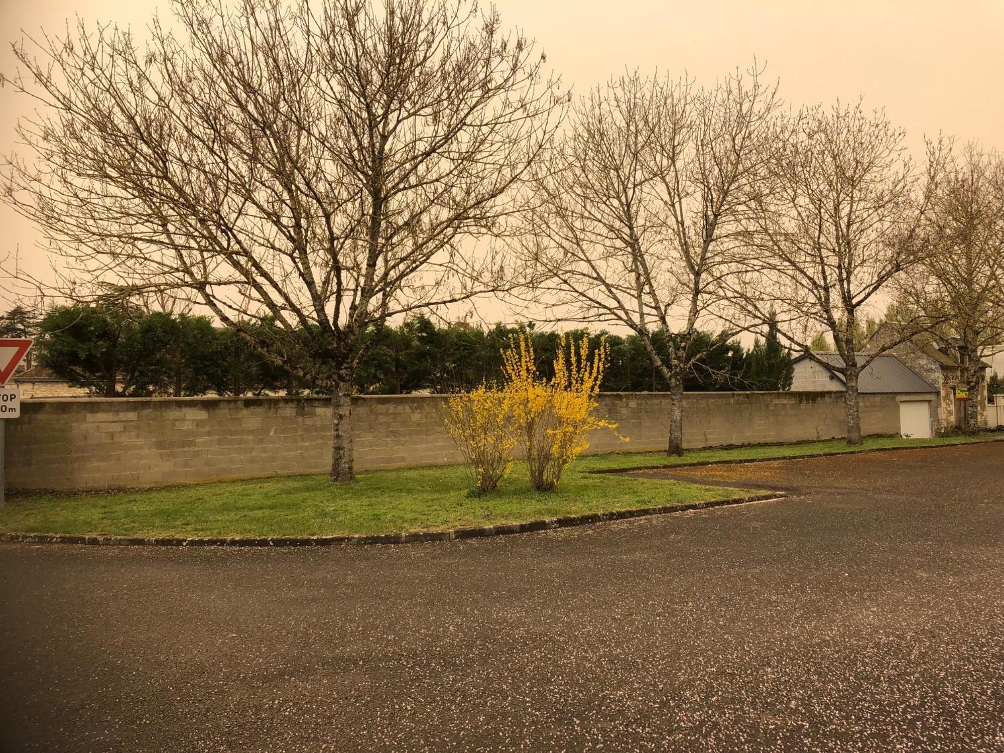 Suite En Chambre D'Hotes La Vigenna Les Ormes  Exterior foto
